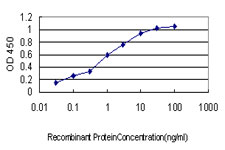 F3 / CD142 / Tissue factor Antibody - Detection limit for recombinant GST tagged F3 is approximately 0.03 ng/ml as a capture antibody.
