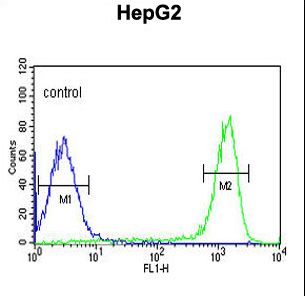 FAAH2 Antibody - FAAH2 Antibody flow cytometry of HepG2 cells (right histogram) compared to a negative control cell (left histogram). FITC-conjugated goat-anti-rabbit secondary antibodies were used for the analysis.