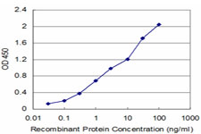 FADD Antibody - Detection limit for recombinant GST tagged FADD is approximately 0.1 ng/ml as a capture antibody.