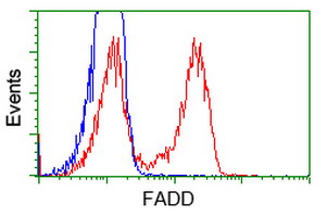 FADD Antibody - HEK293T cells transfected with either overexpress plasmid (Red) or empty vector control plasmid (Blue) were immunostained by anti-FADD antibody, and then analyzed by flow cytometry.
