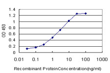 FADS3 Antibody - Detection limit for recombinant GST tagged FADS3 is approximately 0.1 ng/ml as a capture antibody.