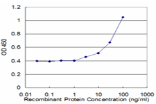 FAH Antibody - Detection limit for recombinant GST tagged FAH is approximately 3 ng/ml as a capture antibody.