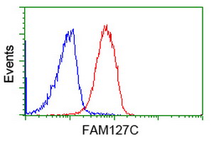 FAM127C Antibody - Flow cytometry of Jurkat cells, using anti-FAM127C antibody (Red), compared to a nonspecific negative control antibody (Blue).