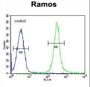 FAM133A Antibody - FAM133A Antibody flow cytometry of Ramos cells (right histogram) compared to a negative control cell (left histogram). FITC-conjugated goat-anti-rabbit secondary antibodies were used for the analysis.