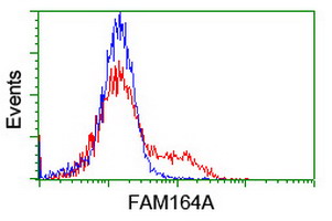 FAM164A / CGI-62 Antibody - HEK293T cells transfected with either overexpress plasmid (Red) or empty vector control plasmid (Blue) were immunostained by anti-FAM164A antibody, and then analyzed by flow cytometry.