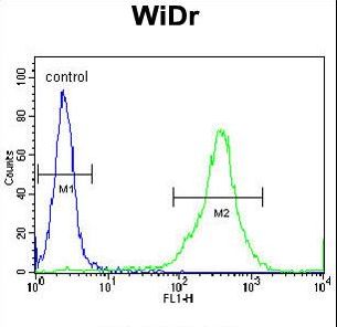 FAM3B Antibody - FAM3B Antibody flow cytometry of WiDr cells (right histogram) compared to a negative control cell (left histogram). FITC-conjugated goat-anti-rabbit secondary antibodies were used for the analysis.