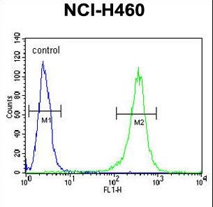 FAM49A Antibody - FA49A Antibody flow cytometry of NCI-H460 cells (right histogram) compared to a negative control cell (left histogram). FITC-conjugated goat-anti-rabbit secondary antibodies were used for the analysis.