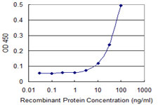 FANCF Antibody - Detection limit for recombinant GST tagged FANCF is 3 ng/ml as a capture antibody.