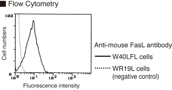 FASLG / Fas Ligand Antibody