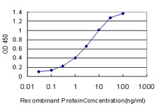 FATE1 Antibody - Detection limit for recombinant GST tagged FATE1 is approximately 0.03 ng/ml as a capture antibody.
