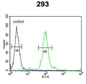 FAU / Fub1 Antibody - FAU Antibody flow cytometry of 293 cells (right histogram) compared to a negative control cell (left histogram). FITC-conjugated goat-anti-rabbit secondary antibodies were used for the analysis.