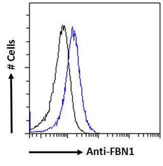 FBN1 / Fibrillin 1 Antibody - FBN1 / Fibrillin 1 antibody flow cytometric analysis of paraformaldehyde fixed Jurkat cells (blue line), permeabilized with 0.5% Triton. Primary incubation 1hr (10ug/ml) followed by Alexa Fluor 488 secondary antibody (0.4ug/ml). IgG control: Unimmunized goat IgG (black line) followed by Alexa Fluor 488 secondary antibody.