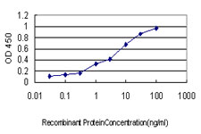 FBXL18 Antibody - Detection limit for recombinant GST tagged FBXL18 is approximately 0.1 ng/ml as a capture antibody.