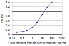 FBXL3 Antibody - Detection limit for recombinant GST tagged FBXL3 is 0.1 ng/ml as a capture antibody.