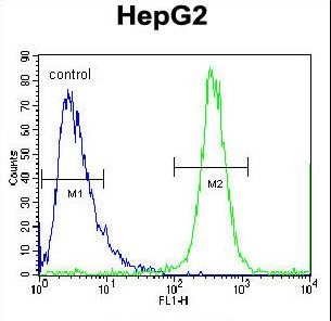 FBXO2 Antibody - FBXO2 Antibody flow cytometry of HepG2 cells (right histogram) compared to a negative control cell (left histogram). FITC-conjugated goat-anti-rabbit secondary antibodies were used for the analysis.
