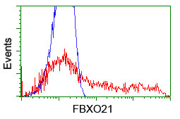 FBXO21 Antibody - HEK293T cells transfected with either overexpress plasmid (Red) or empty vector control plasmid (Blue) were immunostained by anti-FBXO21 antibody, and then analyzed by flow cytometry.