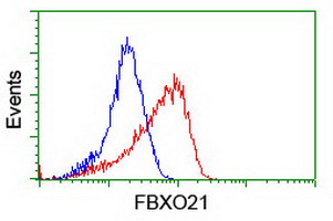 FBXO21 Antibody - Flow cytometry of HeLa cells, using anti-FBXO21 antibody (Red), compared to a nonspecific negative control antibody (Blue).
