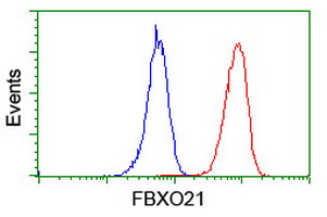 FBXO21 Antibody - Flow cytometry of Jurkat cells, using anti-FBXO21 antibody (Red), compared to a nonspecific negative control antibody (Blue).