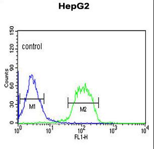 FBXO3 Antibody - FBXO3 Antibody flow cytometry of HepG2 cells (right histogram) compared to a negative control cell (left histogram). FITC-conjugated goat-anti-rabbit secondary antibodies were used for the analysis.