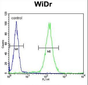 FBXO34 Antibody - FBXO34 Antibody flow cytometry of WiDr cells (right histogram) compared to a negative control cell (left histogram). FITC-conjugated goat-anti-rabbit secondary antibodies were used for the analysis.