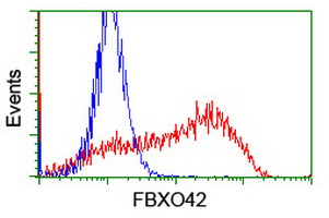 FBXO42 / JFK Antibody - HEK293T cells transfected with either overexpress plasmid (Red) or empty vector control plasmid (Blue) were immunostained by anti-FBXO42 antibody, and then analyzed by flow cytometry.
