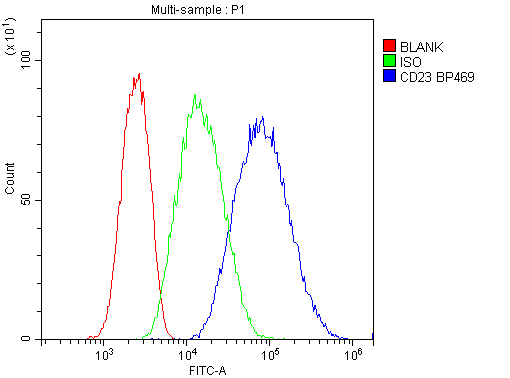 FCER2 / CD23 Antibody - Flow Cytometry analysis of mouse BMC cells using anti-CD23 antibody. Overlay histogram showing mouse BMC cells stained with anti-CD23 antibody (Blue line). The cells were blocked with 10% normal goat serum. And then incubated with rabbit anti-CD23 Antibody (1µg/10E6 cells) for 30 min at 20°C. DyLight®488 conjugated goat anti-rabbit IgG (5-10µg/10E6 cells) was used as secondary antibody for 30 minutes at 20°C. Isotype control antibody (Green line) was rabbit IgG (1µg/10E6 cells) used under the same conditions. Unlabelled sample (Red line) was also used as a control.