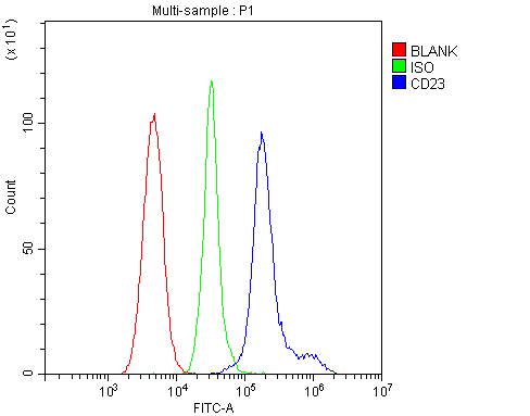 FCER2 / CD23 Antibody - Flow Cytometry analysis of mouse PBMC cells using anti-CD23 antibody. Overlay histogram showing mouse PBMC cells stained with anti-CD23 antibody (Blue line). The cells were blocked with 10% normal goat serum. And then incubated with rabbit anti-CD23 Antibody (1µg/10E6 cells) for 30 min at 20°C. DyLight®488 conjugated goat anti-rabbit IgG (5-10µg/10E6 cells) was used as secondary antibody for 30 minutes at 20°C. Isotype control antibody (Green line) was rabbit IgG (1µg/10E6 cells) used under the same conditions. Unlabelled sample (Red line) was also used as a control.