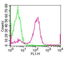FCER2 / CD23 Antibody - Fig-1: Cell Surface flow analysis of hCD23 in PBMC (Lymphocytes) using 1 µg/10^6 cells. Green represents isotype control; red represents FITC conjugated anti-hCD23 antibody (F).