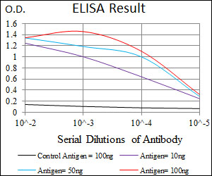 FcERI / Fc Epsilon RI Antibody - Red: Control Antigen (100ng); Purple: Antigen (10ng); Green: Antigen (50ng); Blue: Antigen (100ng);
