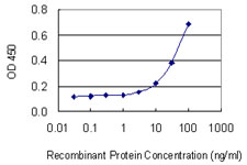 FcERI / Fc Epsilon RI Antibody - Detection limit for recombinant GST tagged FCER1A is 1 ng/ml as a capture antibody.