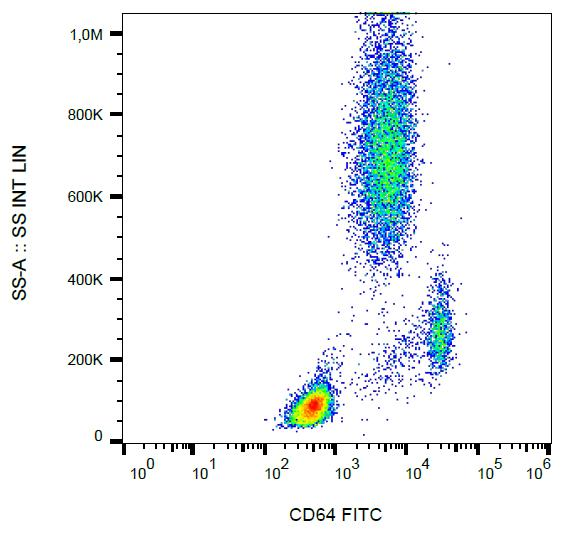 FCGR1A / CD64 Antibody - Surface staining of CD64 in human peripheral blood with anti-CD64 (10.1) FITC. 
