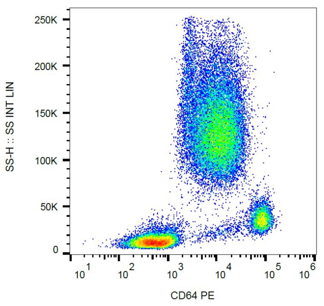 FCGR1A / CD64 Antibody - Surface staining of CD64 in human peripheral blood with anti-CD64 (10.1) PE.
