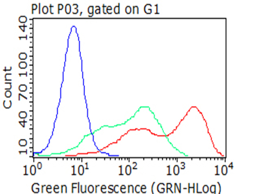 FCGR1A / CD64 Antibody - Flow cytometric analysis of living 293T cells transfected with FCGR1A overexpression plasmid , Red)/empty vector  Blue) using anti-FCGR1A antibody. Cells incubated with a non-specific antibody. (Green) were used as isotype control. (1:100)