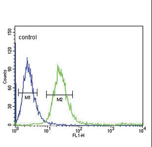 FCGR1B Antibody - FCGR1B Antibody flow cytometry of CEM cells (right histogram) compared to a negative control cell (left histogram). FITC-conjugated goat-anti-rabbit secondary antibodies were used for the analysis.