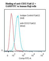 FCGR2 / CD32 Antibody - Flow cytometry of FCGR2 / CD32 antibody This image was taken for the unmodified form of this product. Other forms have not been tested.