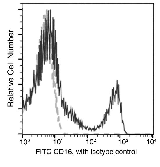 FCGR3A / CD16A Antibody - Flow cytometric analysis of Human CD16 expression on human whole blood lymphocyte. Cells were stained with FITC-conjugated anti-Human CD16. The fluorescence histograms were derived from gated events with the forward and side light-scatter characteristics of viable lymphocytes.