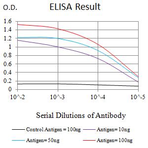 FCRL5 / CD307 Antibody - Black line: Control Antigen (100 ng);Purple line: Antigen (10ng); Blue line: Antigen (50 ng); Red line:Antigen (100 ng)