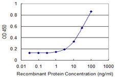 FDPS Antibody - Detection limit for recombinant GST tagged FDPS is 1 ng/ml as a capture antibody.