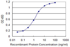 FDX1 / ADX Antibody - Detection limit for recombinant GST tagged FDX1 is 0.03 ng/ml as a capture antibody.