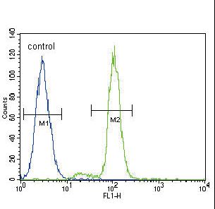FER Antibody - FER Antibody flow cytometry of A549 cells (right histogram) compared to a negative control cell (left histogram). FITC-conjugated goat-anti-rabbit secondary antibodies were used for the analysis.