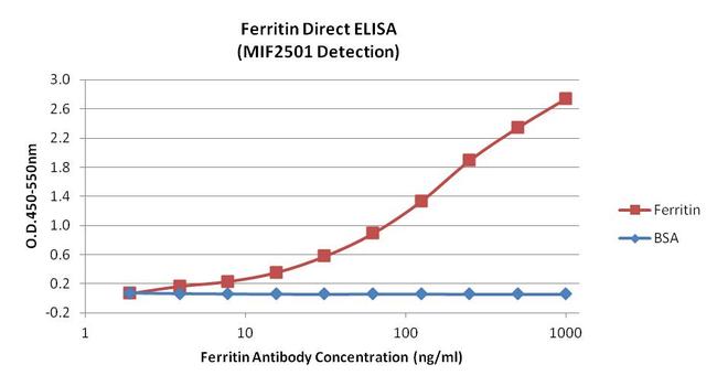 Ferritin Antibody - Direct ELISA analysis of Ferritin was performed by coating wells of a 96-well plate with 100ul per well of Human Ferritin or BSA diluted in carbonate/bicarbonate buffer, starting at a concentration of 1 µg/mL and serially diluting 2-fold to a concentration of 2ng/ml, overnight at 4C. Wells of the plate were washed, blocked with StartingBlock blocking buffer, and incubated with 100ul per well of a mouse anti-ferritin monoclonal antibody at a concentration of 1 µg/mL for 1 hour at room temperature. The plate was washed, then incubated with 100ul per well of an HRP-conjugated goat anti-mouse IgG secondary antibody at a dilution of 1:25000 for 30 minutes at room temperature. Detection was performed using 1-Step Ultra TMB substrate for 10 minutes at room temperature in the dark. The reaction was stopped with 0.16M sulfuric acid, and absorbances were read on a spectrophotometer at 450-550nm.