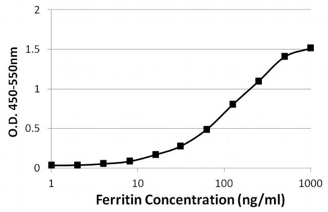 Ferritin Antibody - Sandwich ELISA of Ferritin was performed by coating wells of a 96-well plate with 100ul of an Ferritin duck polyclonal antibody diluted to a concentration of 1 µg/mL in carbonate/bicarbonate buffer overnight at 4C. Wells were blocked with 100ul of StartingBlock T20 (TBS) Blocking Buffer for 2 hours, and 100ul of recombinant human ferritin light polypeptide (FTL) standards ranging from 1.6-1000ng/ml were incubated for 1 hour at room temperature. The plate was washed with 1X TBST, and 100ul per well of an ferritin mouse monoclonal antibody diluted to a concentration of 1 µg/mL was added to each well for 1 hour at room temperature. The plate was washed, and 100ul per well of a Streptavidin-HRP was incubated for 30 minutes. Detection was performed using 1-Step Ultra TMB Substrate, followed by Stop Solution. Absorbances were read on a spectrophotometer at 450-550nm.