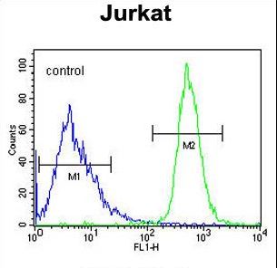 FFAR3 / GPR41 Antibody - FFAR3 Antibody flow cytometry of Jurkat cells (right histogram) compared to a negative control cell (left histogram). FITC-conjugated goat-anti-rabbit secondary antibodies were used for the analysis.