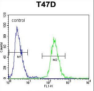 FGB / Fibrinogen Beta Chain Antibody - FIBB Antibody flow cytometry of T47D cells (right histogram) compared to a negative control cell (left histogram). FITC-conjugated goat-anti-rabbit secondary antibodies were used for the analysis.