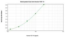 FGF10 Antibody - Biotinylated Anti-Human FGF-10 Sandwich ELISA