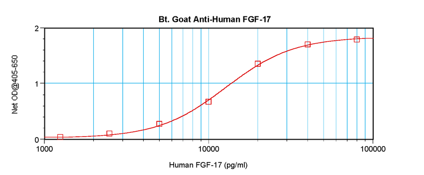 FGF17 Antibody - Biotinylated Anti-Human FGF-17 Sandwich ELISA
