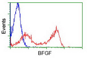 FGF2 / Basic FGF Antibody - HEK293T cells transfected with either overexpress plasmid (Red) or empty vector control plasmid (Blue) were immunostained by anti-BFGF antibody, and then analyzed by flow cytometry.