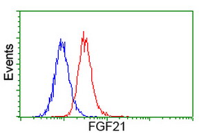 FGF21 Antibody - Flow cytometry of HeLa cells, using anti-FGF21 antibody (Red), compared to a nonspecific negative control antibody (Blue).