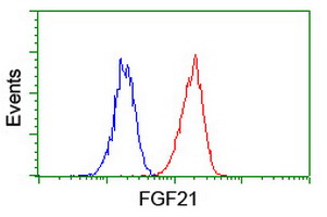 FGF21 Antibody - Flow cytometry of Jurkat cells, using anti-FGF21 antibody (Red), compared to a nonspecific negative control antibody (Blue).