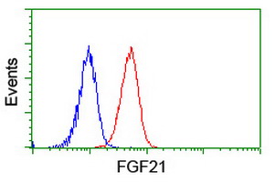 FGF21 Antibody - Flow cytometry of Jurkat cells, using anti-FGF21 antibody (Red), compared to a nonspecific negative control antibody (Blue).